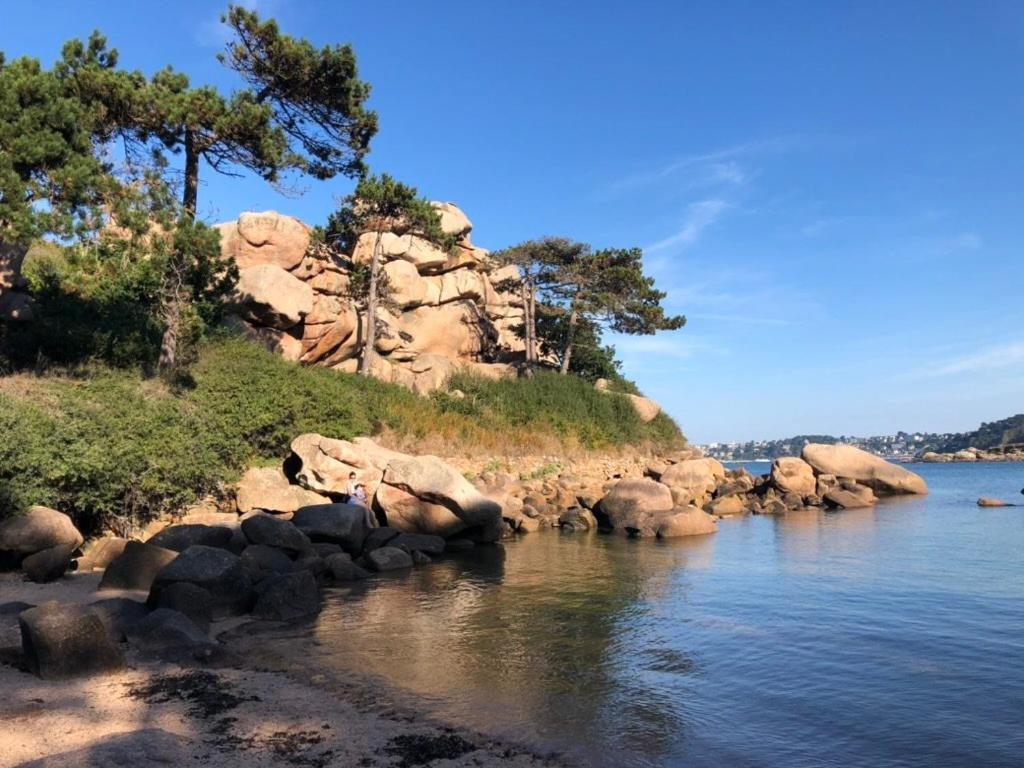 Les Ecolodges Sous Le Phare ルアンネック エクステリア 写真